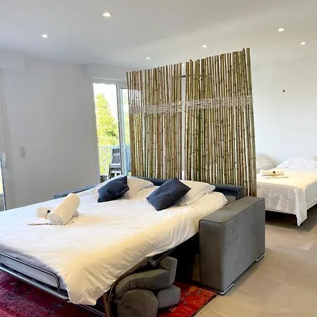 Bnb Renting Le Cedre Spacious Studio In With A Balcony Wifi And Ac Apartment Cannes