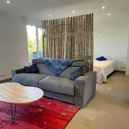 Bnb Renting Le Cèdre Spacious Studio In With A Balcony Wifi&ac * Cannes