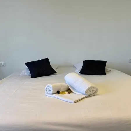 Bnb Renting Le Cèdre Spacious Studio In With A Balcony Wifi&ac Appartement