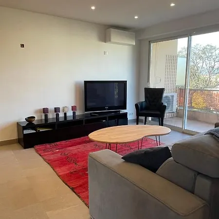 Bnb Renting Le Cèdre Spacious Studio In With A Balcony Wifi&ac Appartement Cannes
