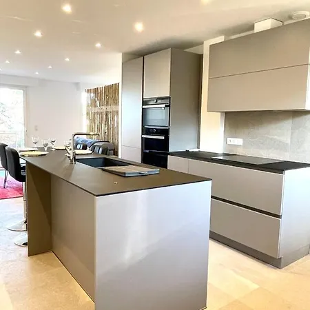Renting Le Cedre Spacious In With A Balcony Wifi And Ac