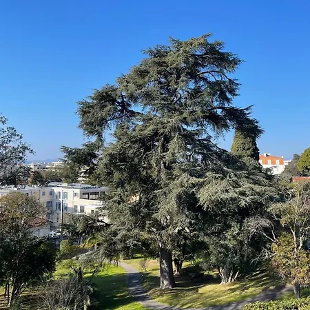 Bnb Renting Le Cèdre Spacious Studio In With A Balcony Wifi&ac Appartement
